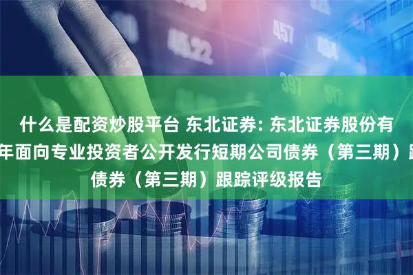 什么是配资炒股平台 东北证券: 东北证券股份有限公司2025年面向专业投资者公开发行短期公司债券（第三期）跟踪评级报告