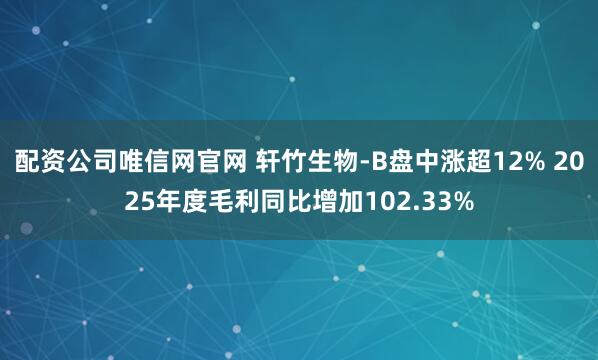 配资公司唯信网官网 轩竹生物-B盘中涨超12% 2025年度毛利同比增加102.33%