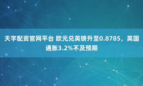 天宇配资官网平台 欧元兑英镑升至0.8785，英国通胀3.2%不及预期
