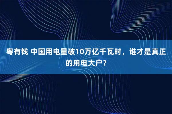 粤有钱 中国用电量破10万亿千瓦时，谁才是真正的用电大户？